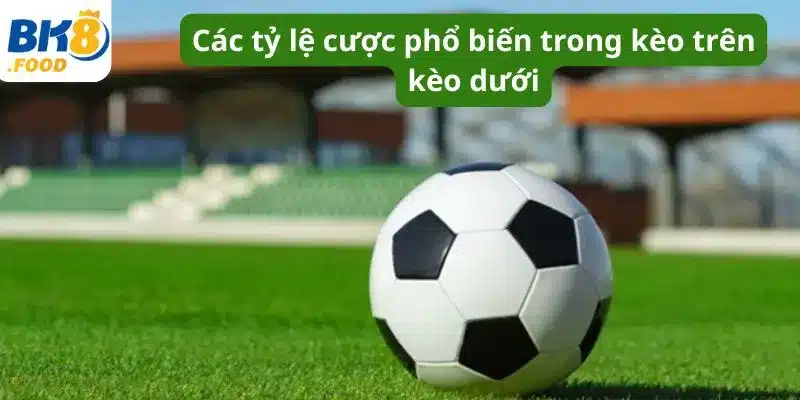 Các tỷ lệ cược phổ biến trong kèo trên kèo dưới