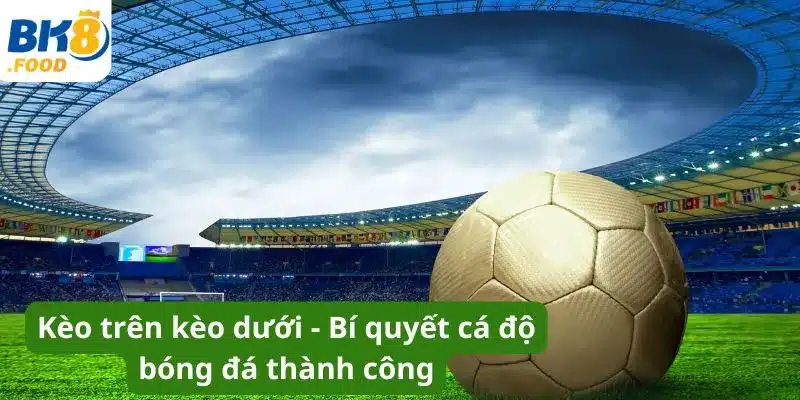 Kèo Trên Kèo Dưới - Bí Quyết Cá Độ Bóng Đá Thành Công