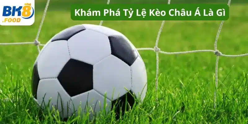 Khám Phá Tỷ Lệ Kèo Châu Á Là Gì