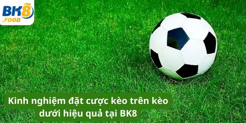 Kinh nghiệm đặt cược kèo trên kèo dưới hiệu quả tại BK8