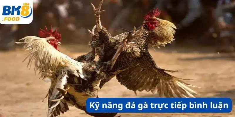 Kỹ năng đá gà trực tiếp bình luận