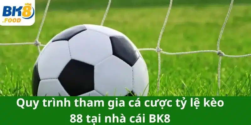 Quy trình tham gia cá cược tỷ lệ kèo 88 tại nhà cái BK8