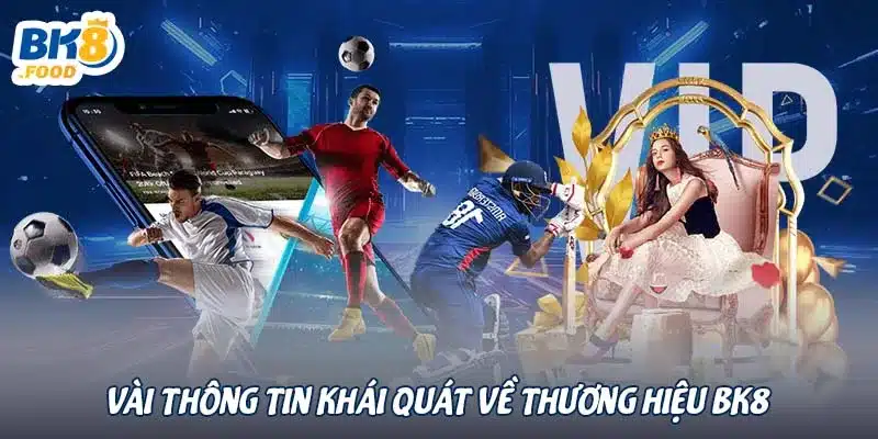 Vài thông tin khái quát về thương hiệu BK8