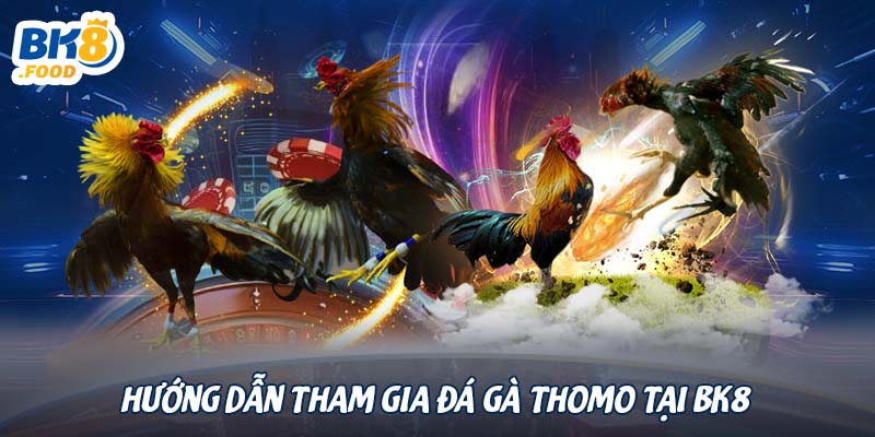 Hướng dẫn tham gia đá gà Thomo tại BK8